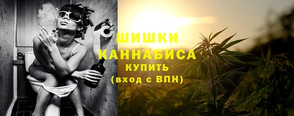 прущая мука Галич