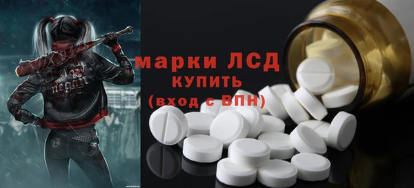 сатива Абинск